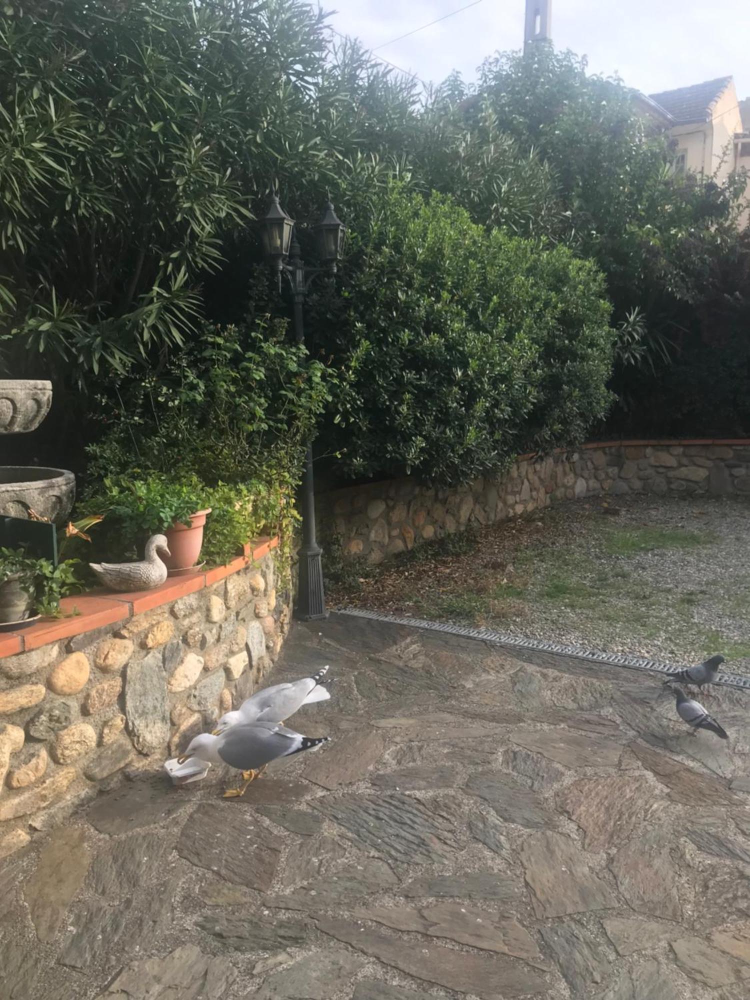 Hébergements à La Rive, Accueil Ouvert Tous Les Jours Jusqu'à 20h00 Dernier Délai, Depuis 29 Ans ! Réserver Ici Svp ! Merci ! Aucun Règlement à Distance Accepté, Paiement Par Cb, Espèces, Chèque Ou Chèques-vacances Impérativement à La Remise Des Clef