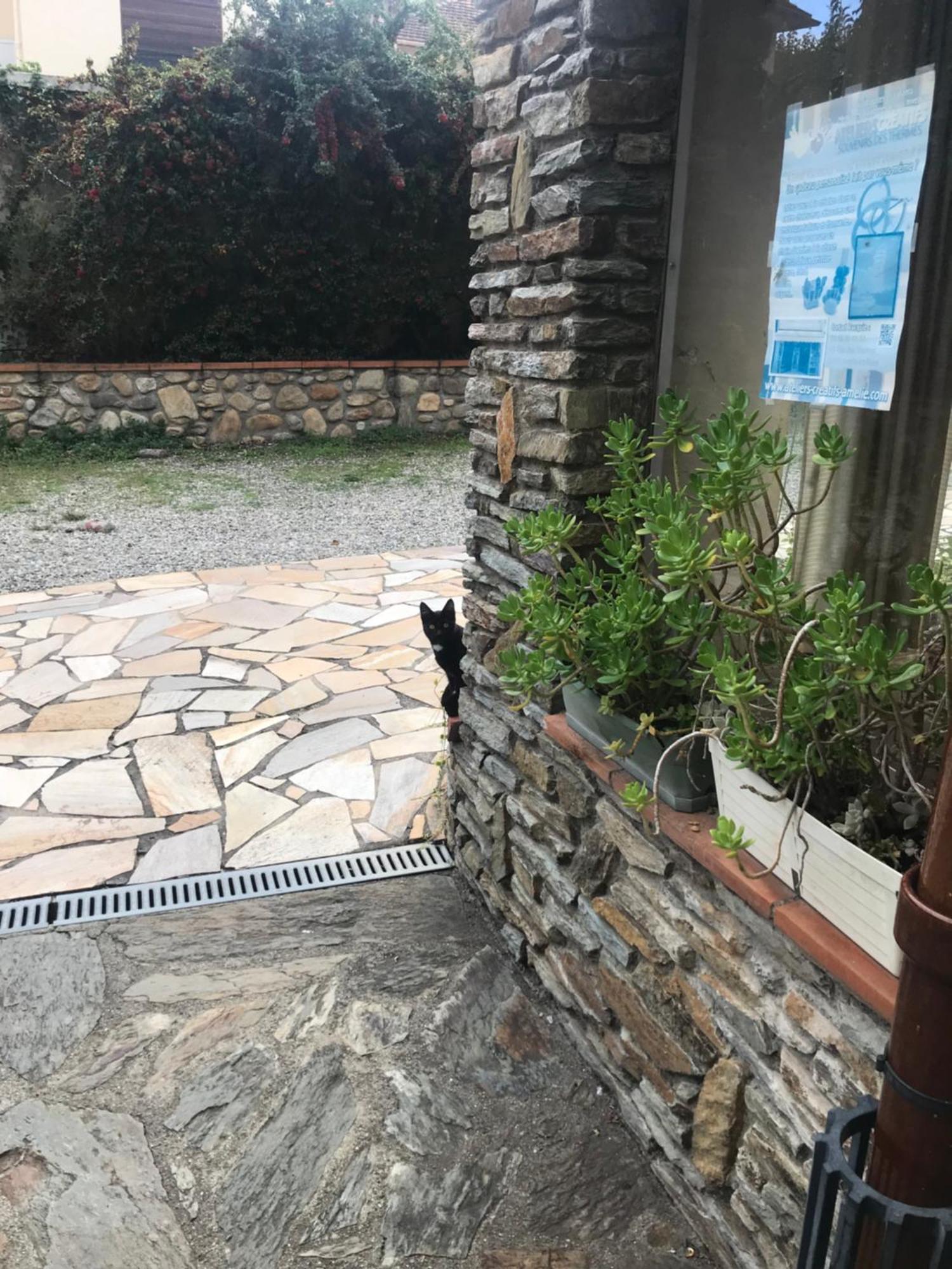 Hébergements à La Rive, Accueil Ouvert Tous Les Jours Jusqu'à 20h00 Dernier Délai, Depuis 29 Ans ! Réserver Ici Svp ! Merci ! Aucun Règlement à Distance Accepté, Paiement Par Cb, Espèces, Chèque Ou Chèques-vacances Impérativement à La Remise Des Clef