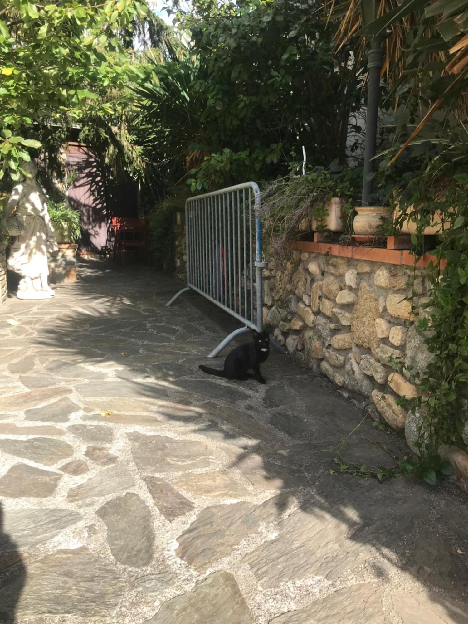 Hébergements à La Rive, Accueil Ouvert Tous Les Jours Jusqu'à 20h00 Dernier Délai, Depuis 29 Ans ! Réserver Ici Svp ! Merci ! Aucun Règlement à Distance Accepté, Paiement Par Cb, Espèces, Chèque Ou Chèques-vacances Impérativement à La Remise Des Clef Hotel *
